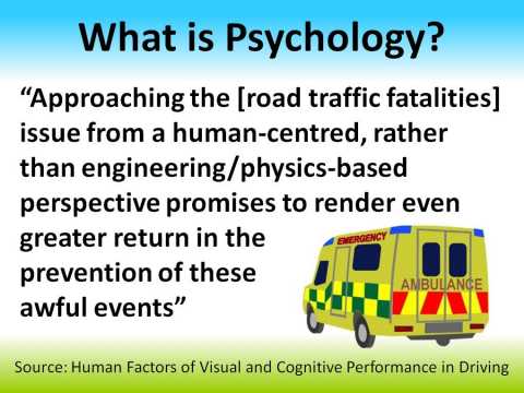 Road Traffic Fatalities