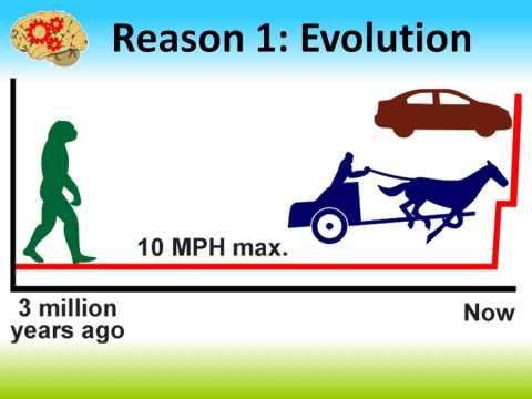 Reason 1: Evolution