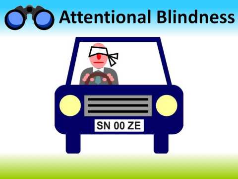 Attentional Blindness